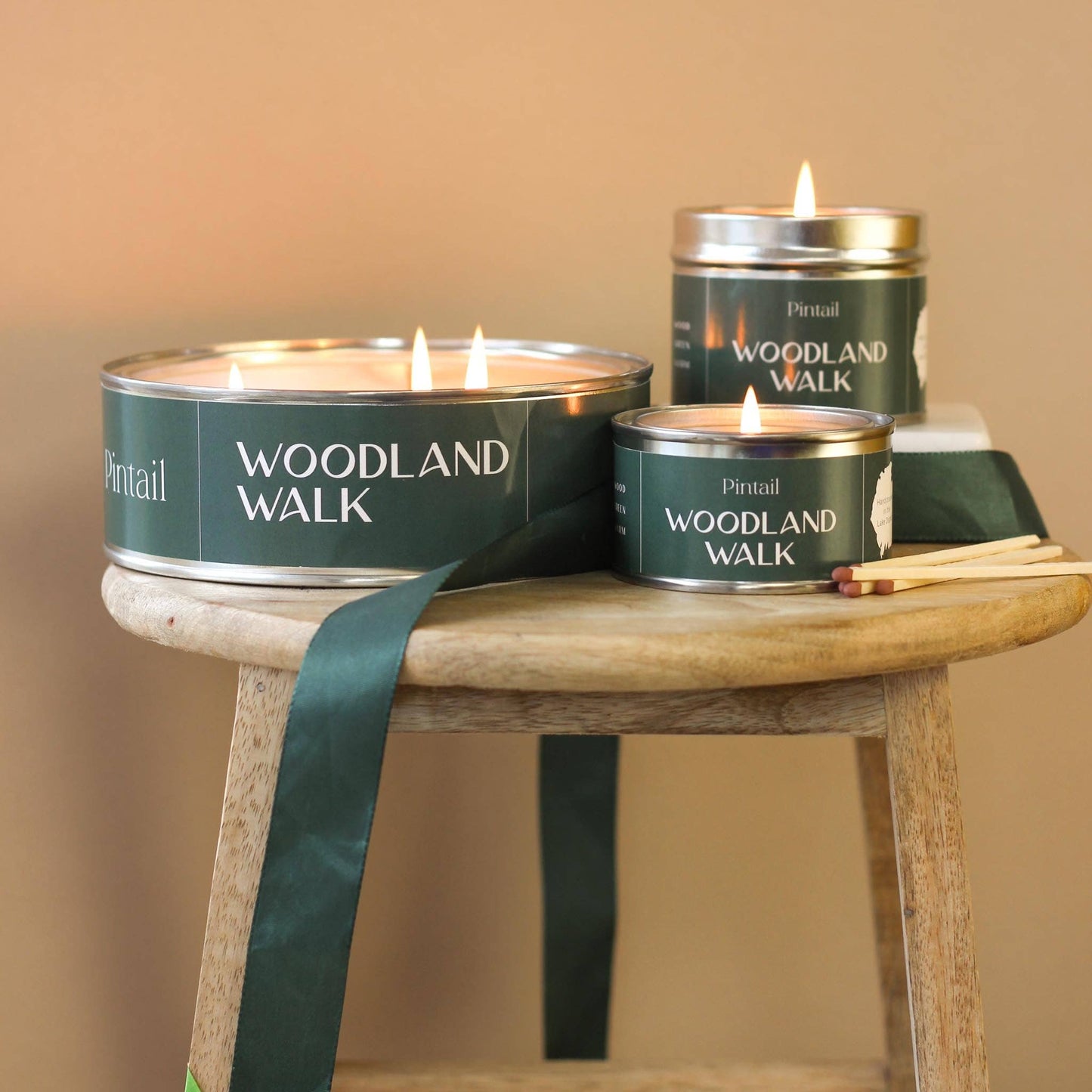 Woodland Walk Classic Tin Candle