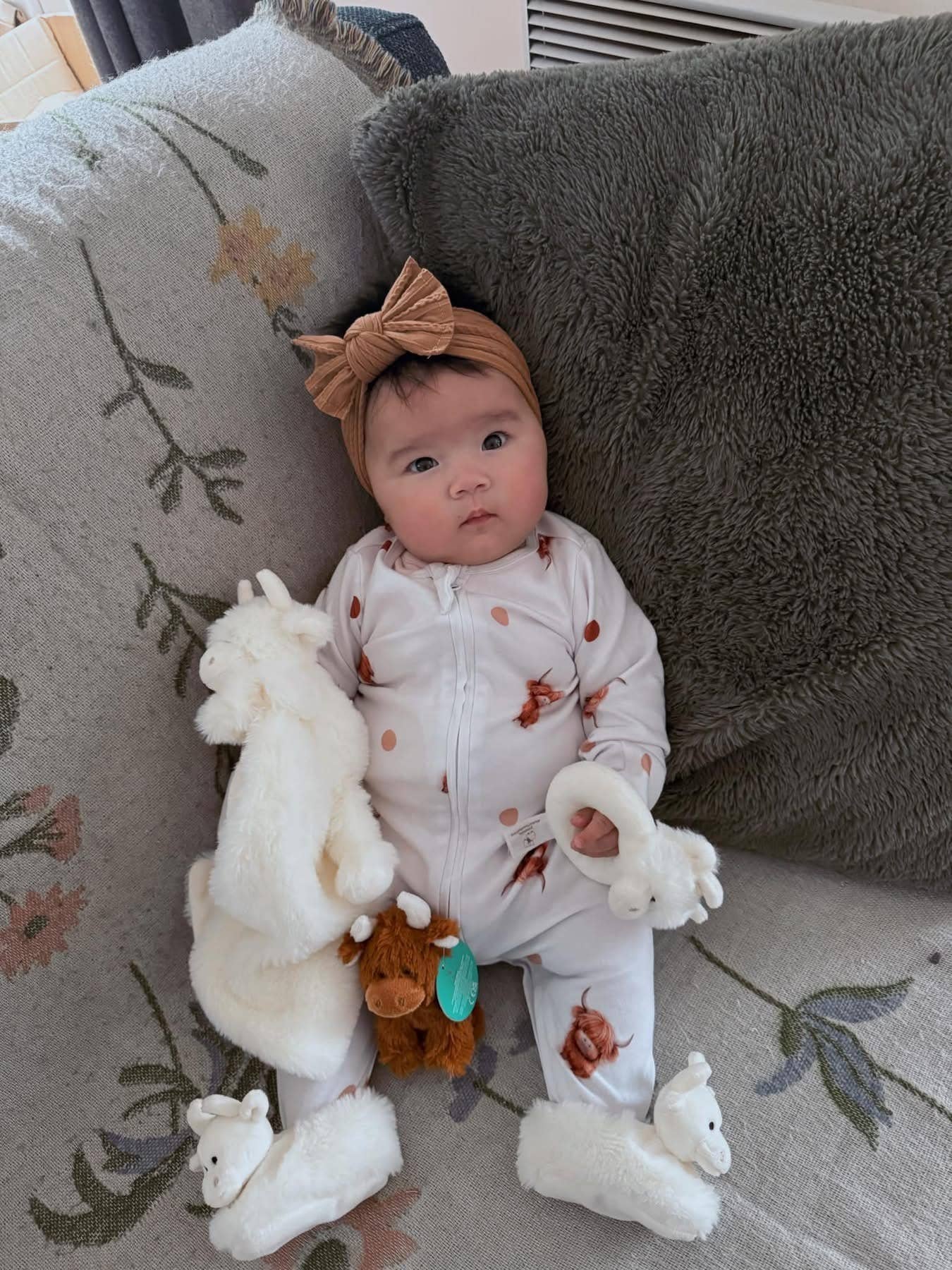Mini Highland Cow Plush Toy in Brown
