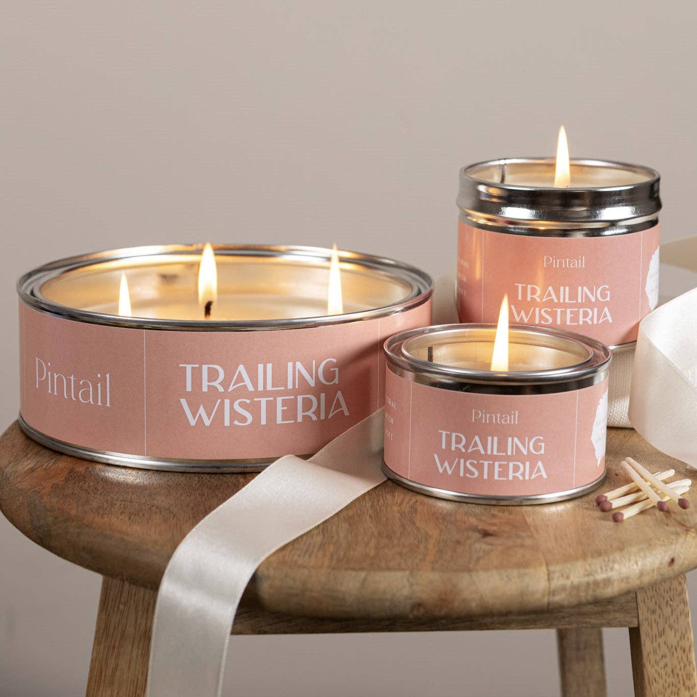 Trailing Wisteria Paint Pot Candle