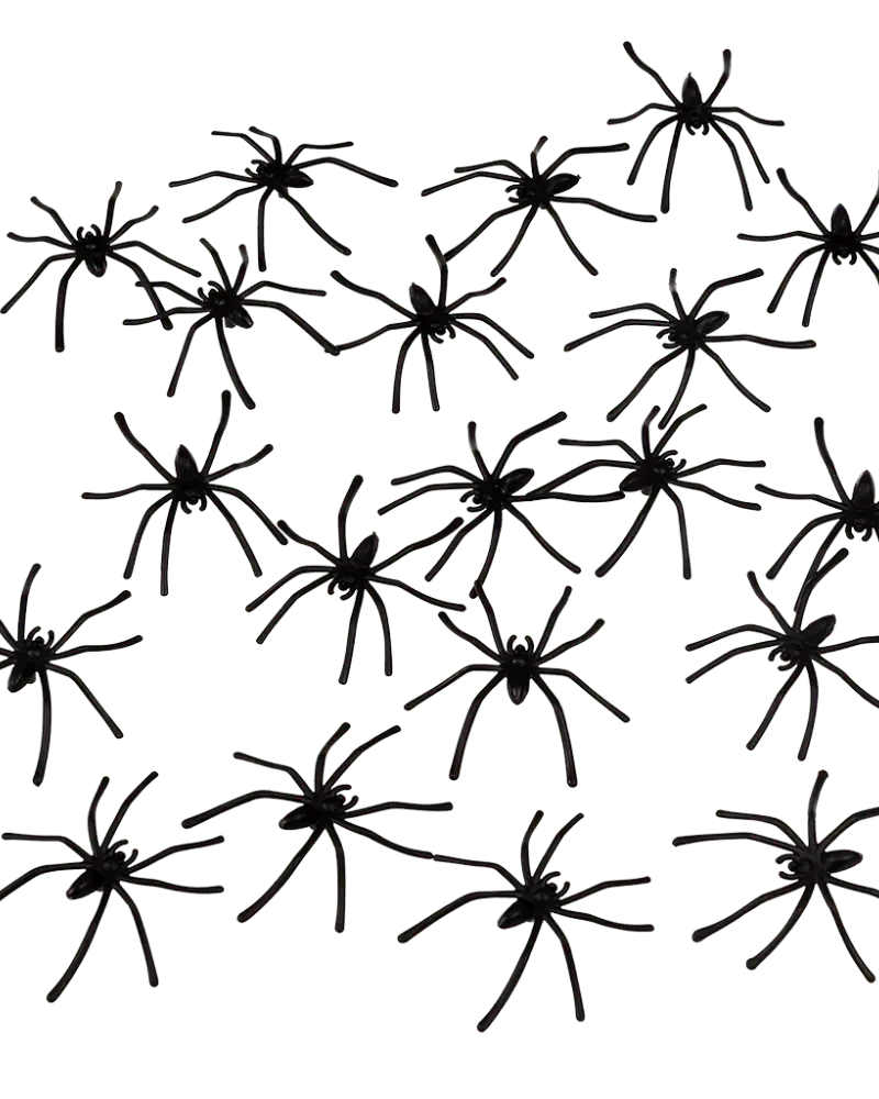 Novelty Box Of Spiders