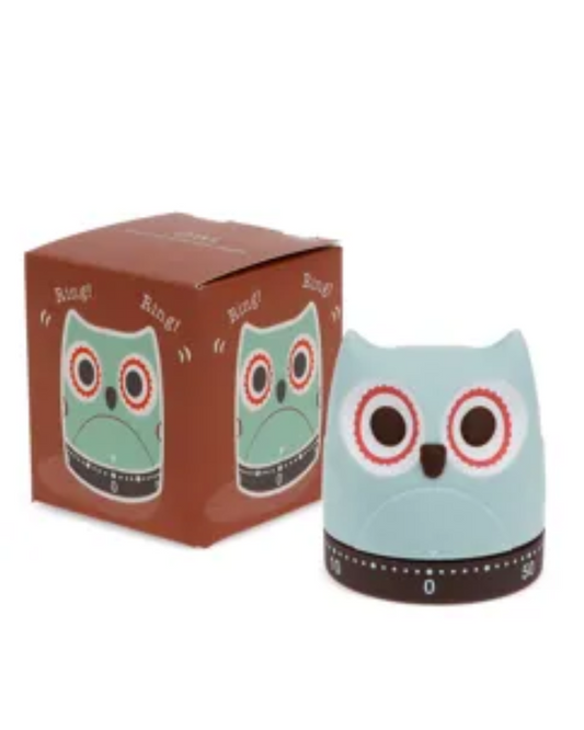 Wind Up Owl Timer