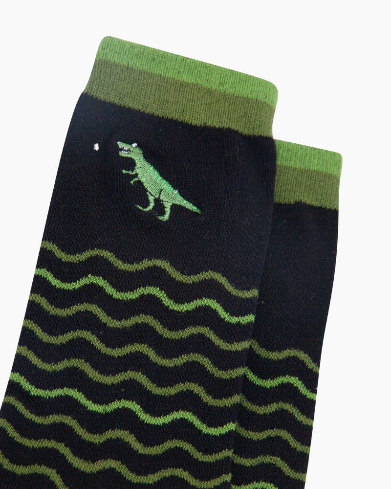 Embroidered T-Rex Wave Stripe Combed Cotton Socks