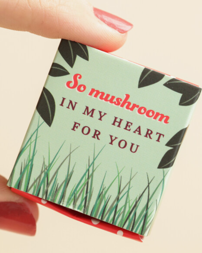 So Mushroom in My Heart Tiny Ceramic Matchbox Token