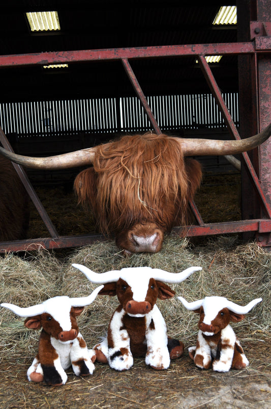 Texas Longhorn Highland Cow Plush Toy