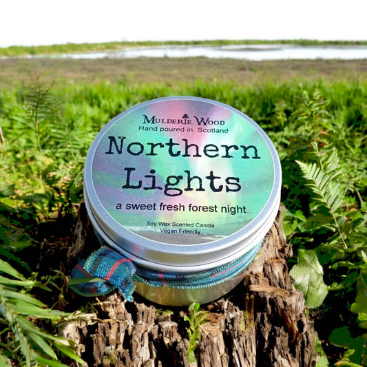 Northern Lights Fresh Pine Handmade Soy Wax Candle