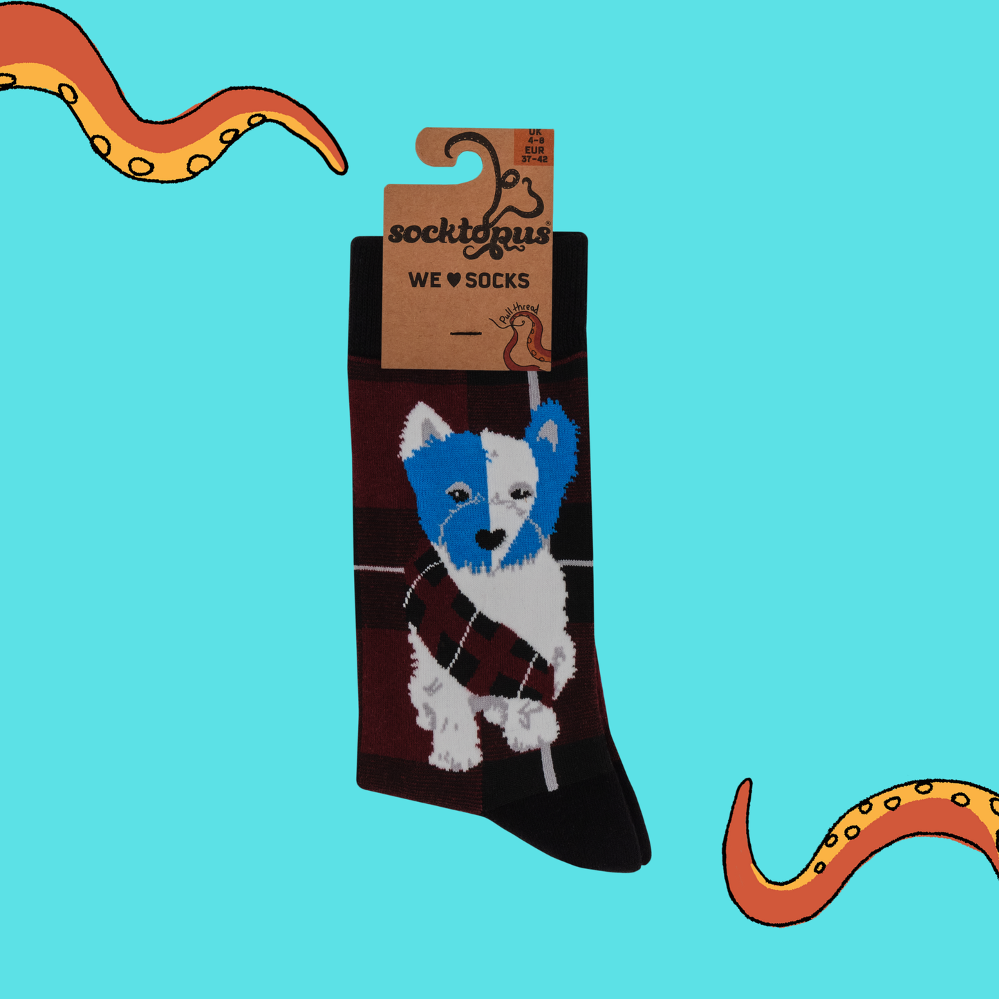 Braveheart Westie Dog Crew Socks