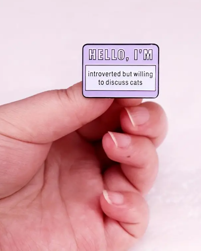Hello, I'm Introverted Enamel Pin Badge Brooch