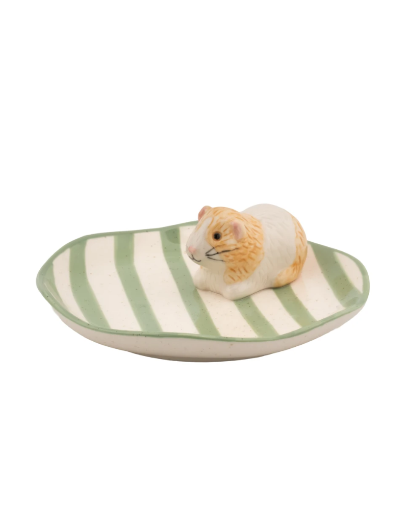 Guinea Pig Trinket Dish