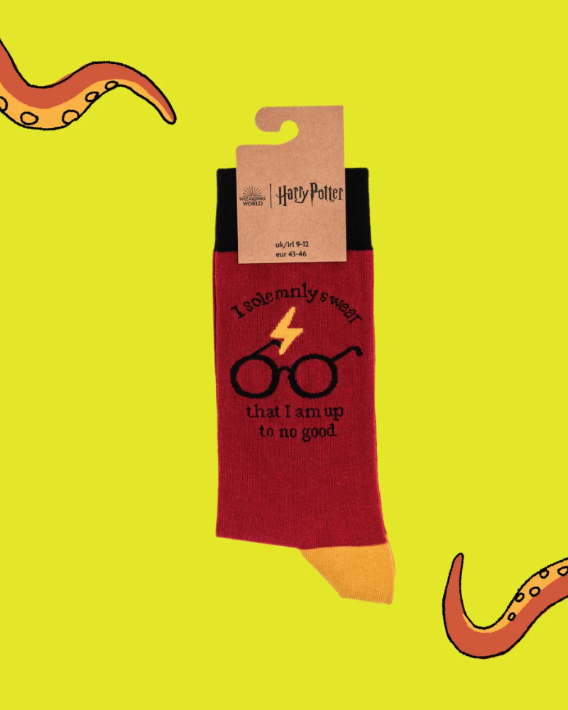 I Solemnly Swear Harry Potter Socks