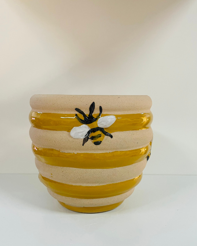 Bee Hive Plant Pots Assorted Sizes