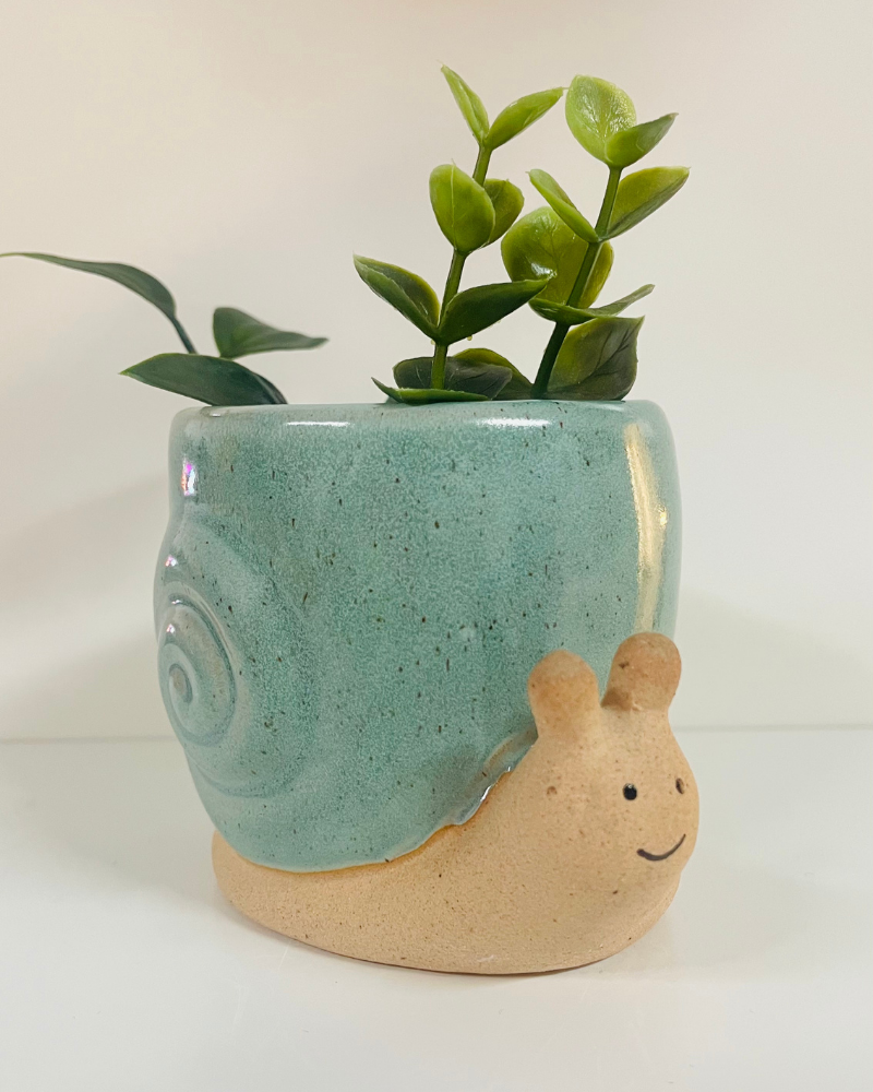 Snail Plant Pot