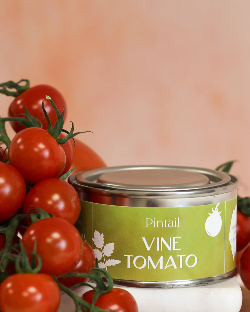 Vine Tomato Scented Paint Pot Candle