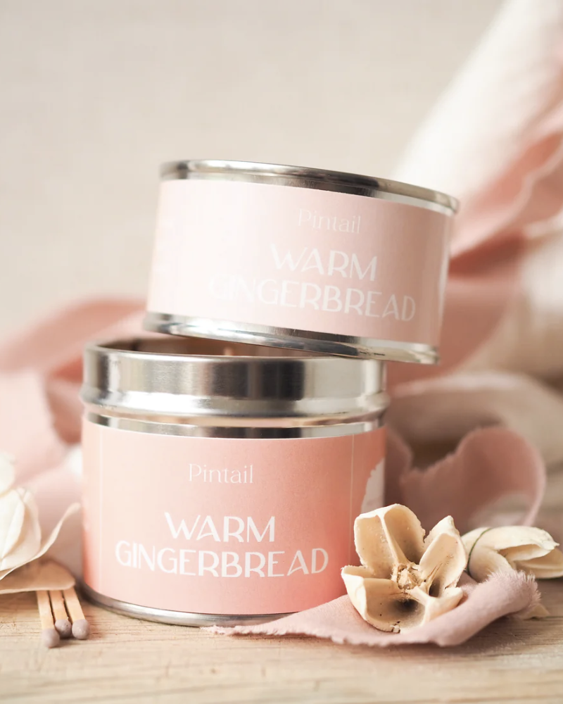 Warm Gingerbread Paint Pot Candle