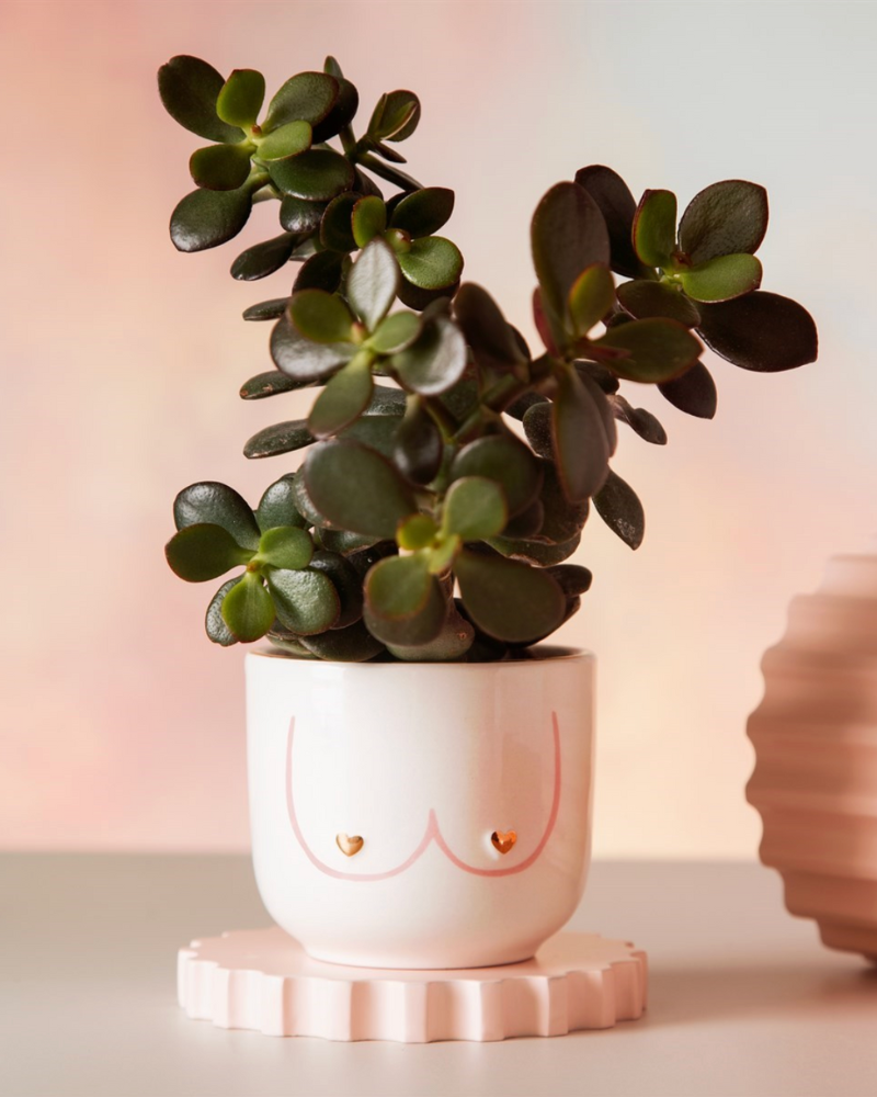 Mini Girl Power Boobies Planter – Pink Poodle Boutique