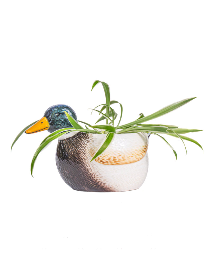 Mini Mallard Duck Planter