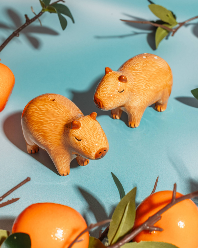 Capybara Salt & Pepper Shakers