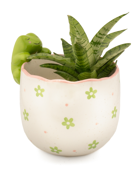 Peeking Frog Planter