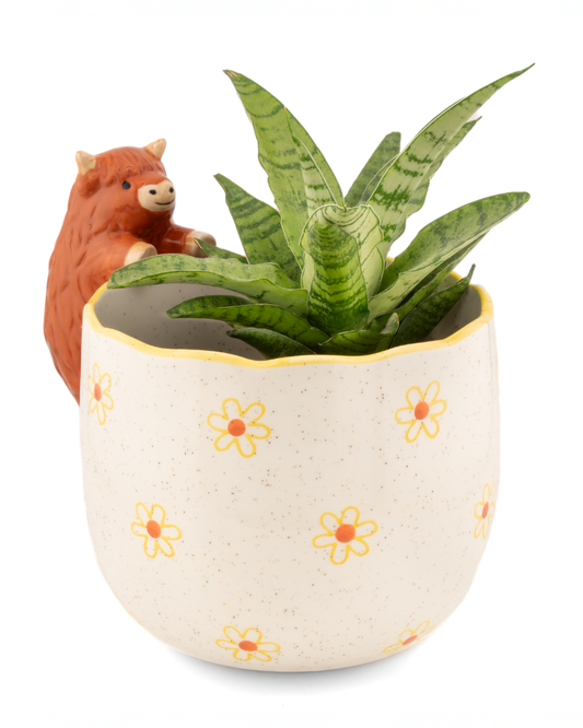 Peeking Highland Cow Planter