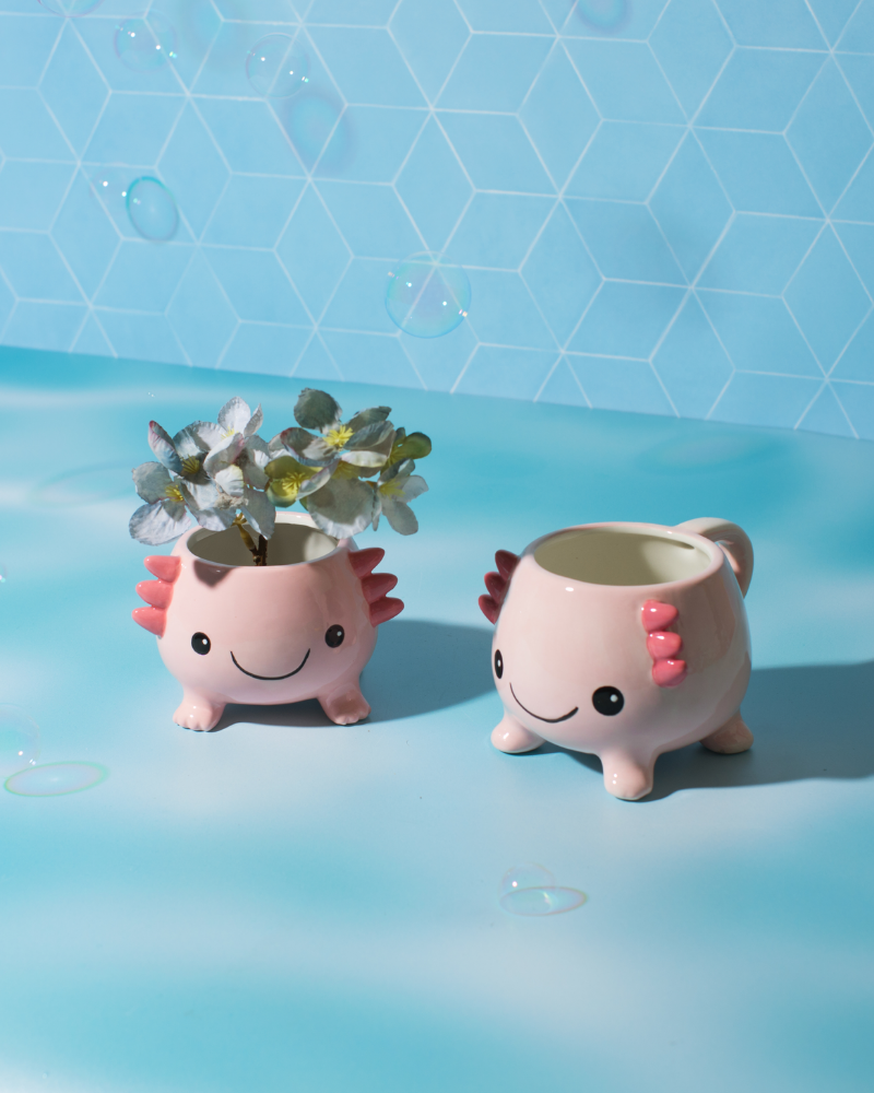 Axolotl Planter on Legs