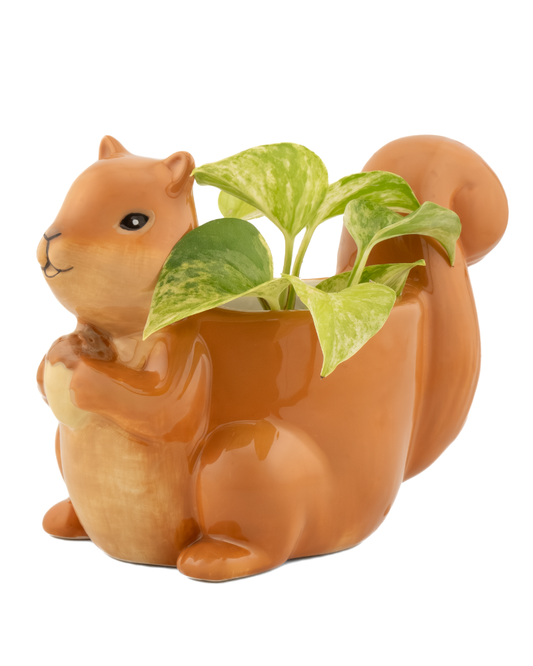 Squirrel Planter