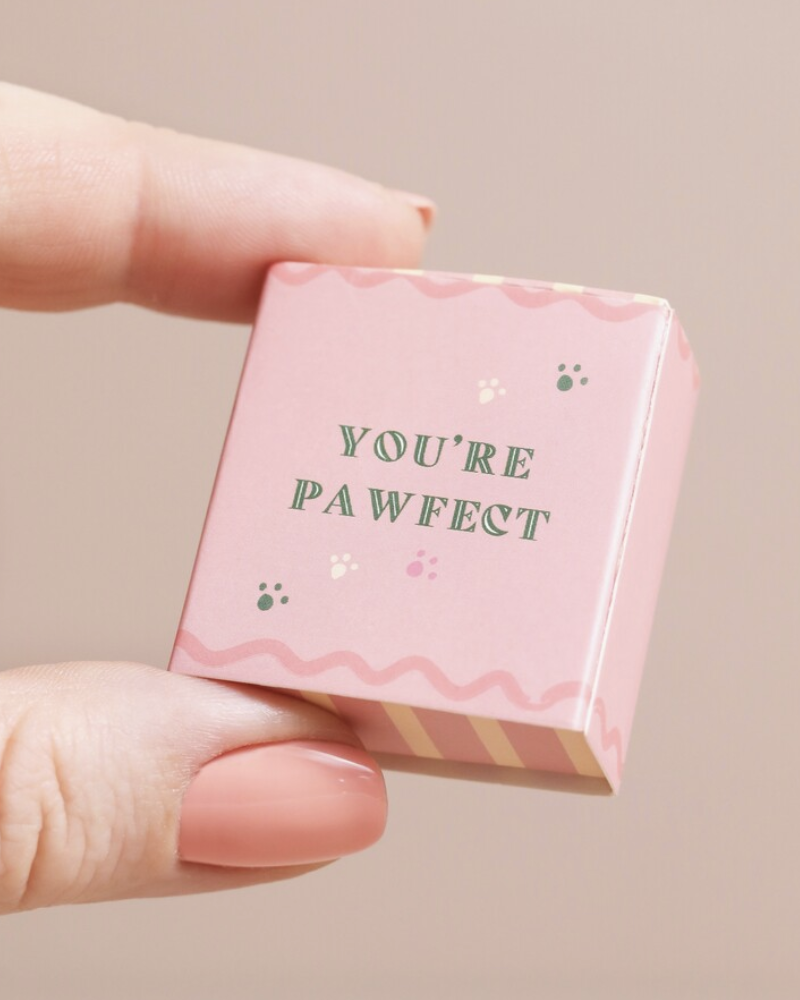 Pawsome Dog Tiny Ceramic Matchbox Token