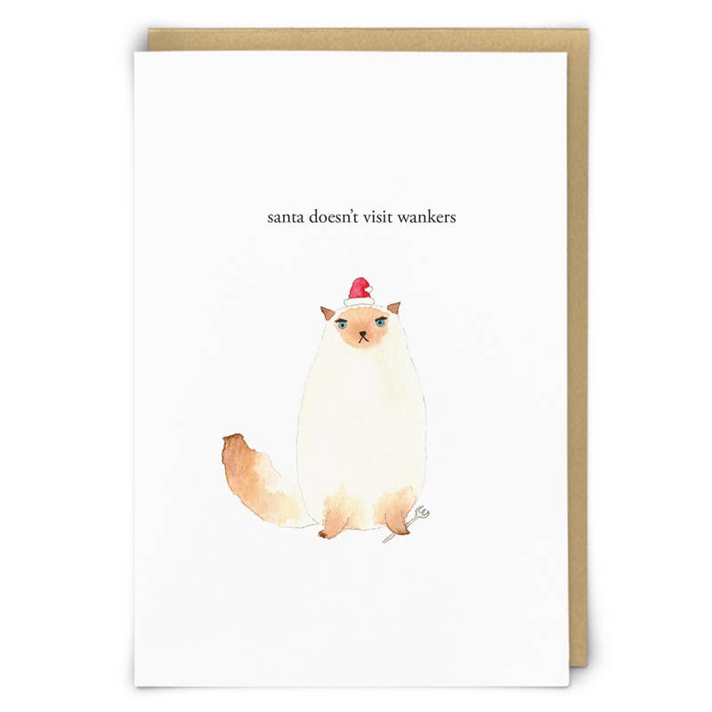 Santa Cat Christmas Card