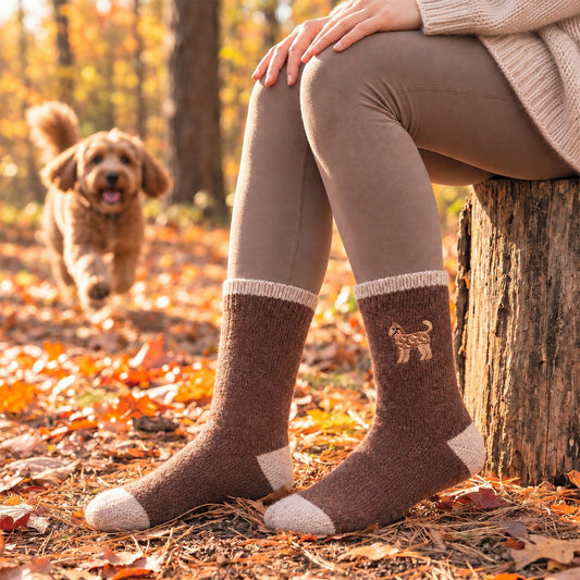 Labradoodle Embroidered Wool Socks in Brown