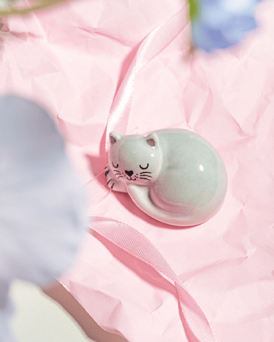 Pawfect Cat Ceramic Token - Pink Poodle Boutique - XDC704