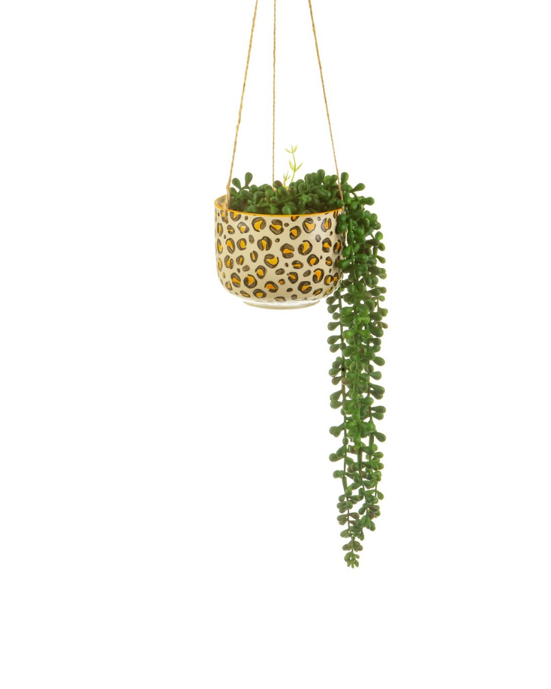 leopard hanging planter Leopard Love Hanging Planter – Pink Poodle Boutique
