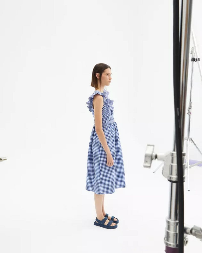 Vichy Gingham dress