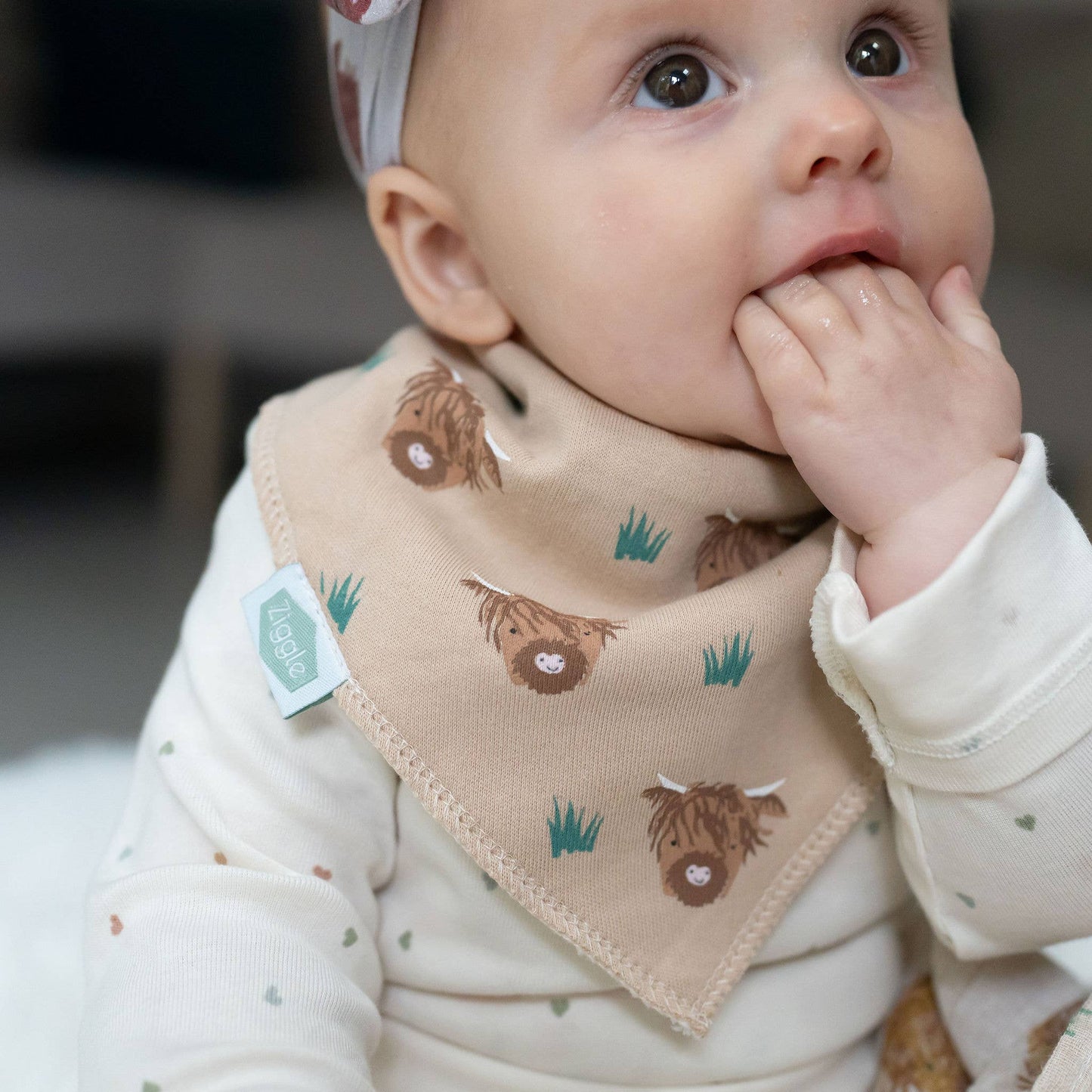 Highland Cow Pattern Baby Bib