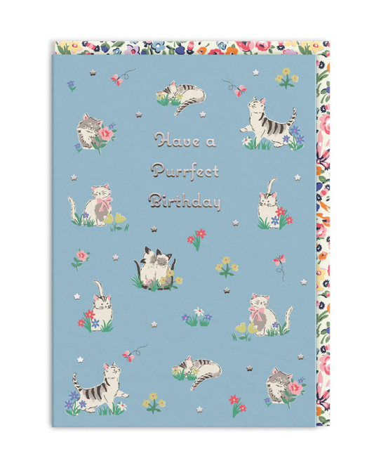 Purrfect Kittens Birthday Card