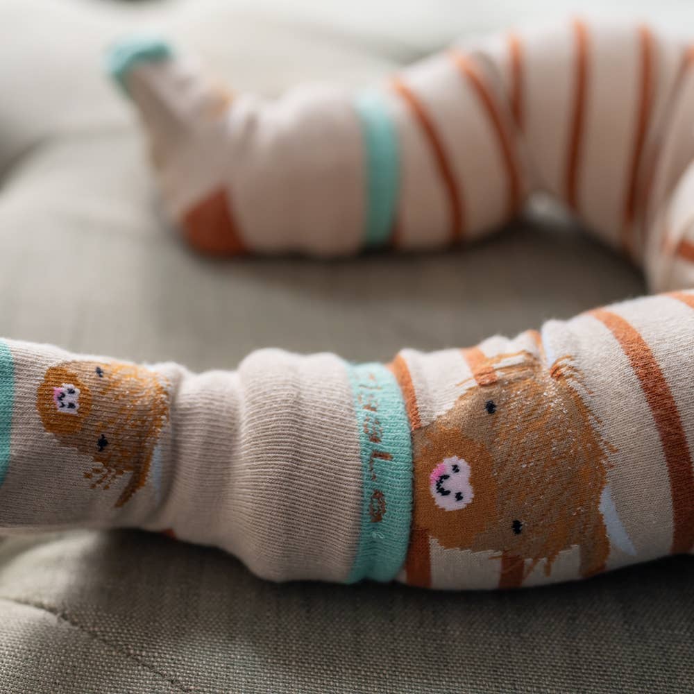 Highland Cow Leggings and Socks Set 0 to 6 Months