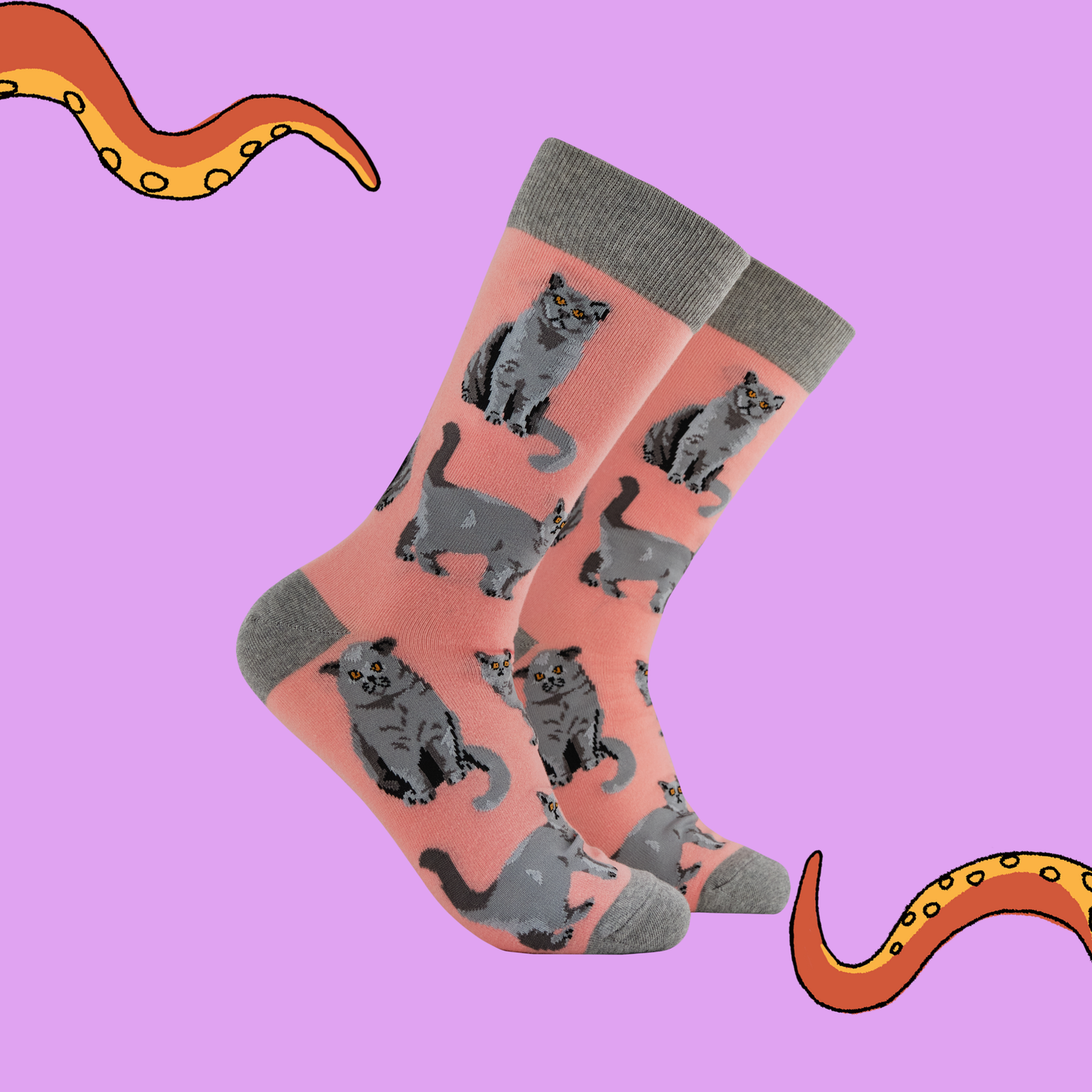 British Shorthair Cat Crew Socks in Pink
