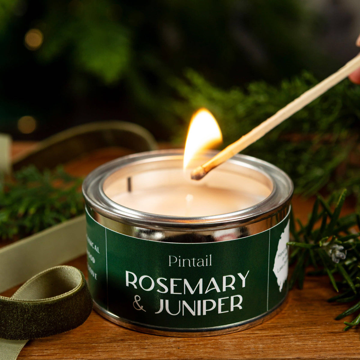 Rosemary & Juniper Paint Pot Candle