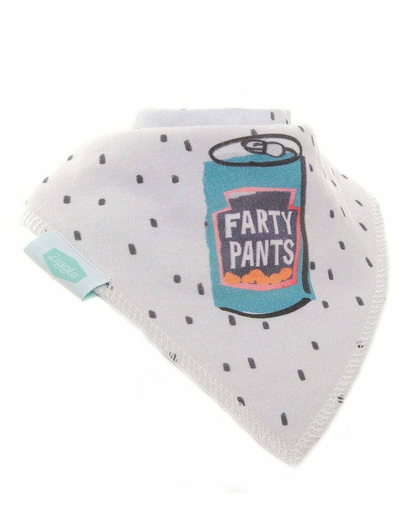 Farty Pants Baby Bib