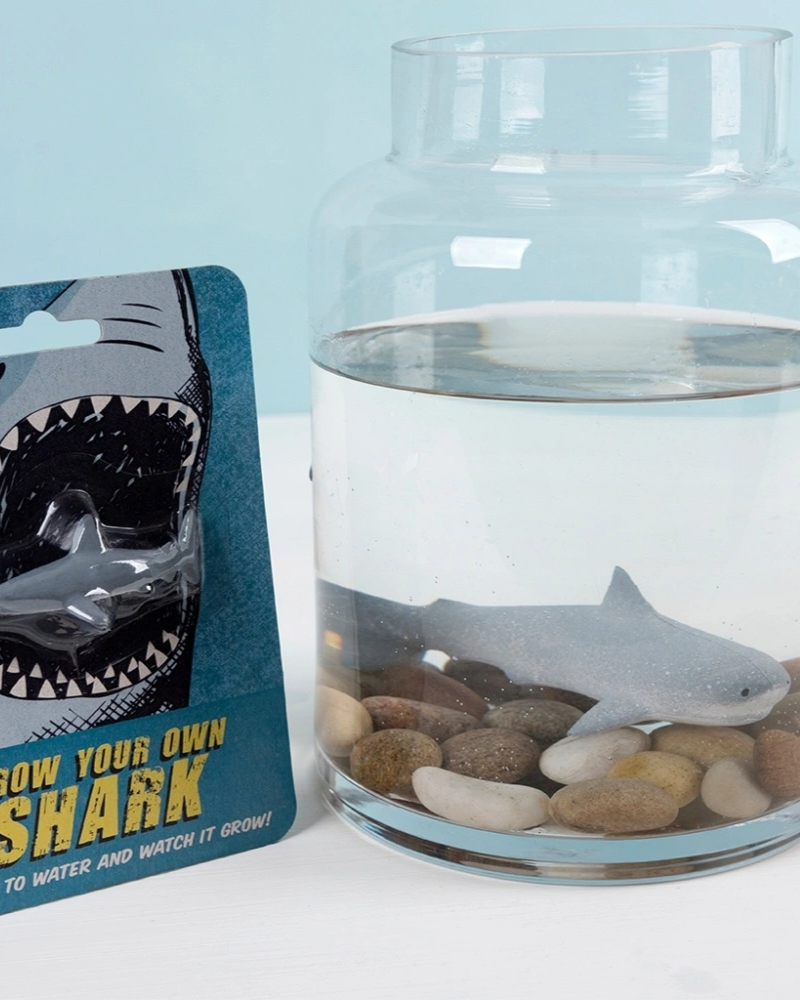 Grow Your Own Shark