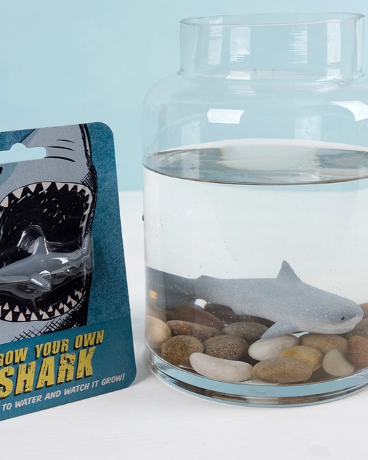 Grow Your Own Shark