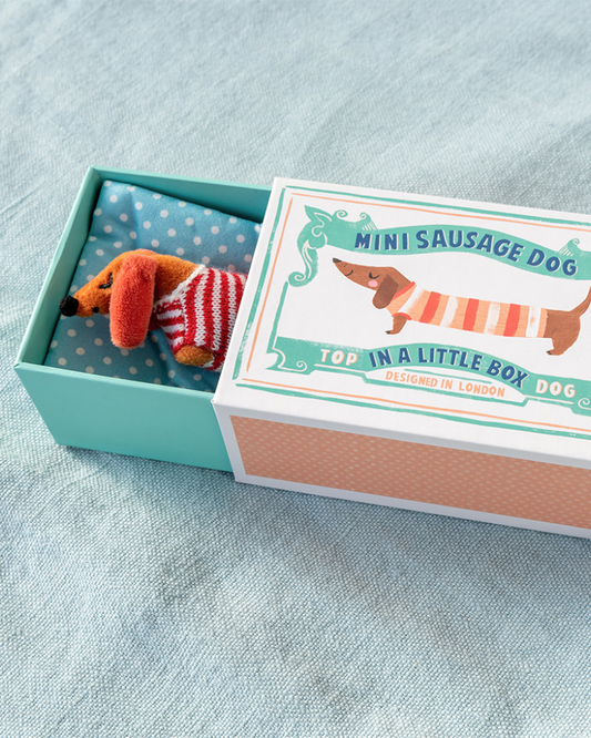 Sausage Dog In A Box Toy