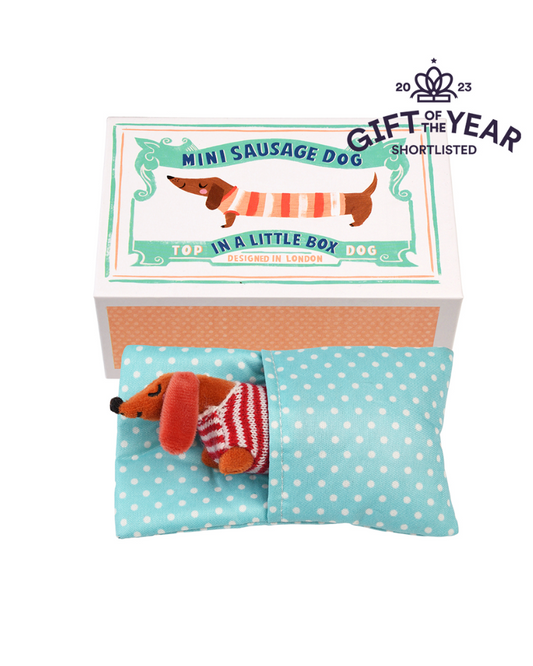 Sausage Dog In A Box Toy