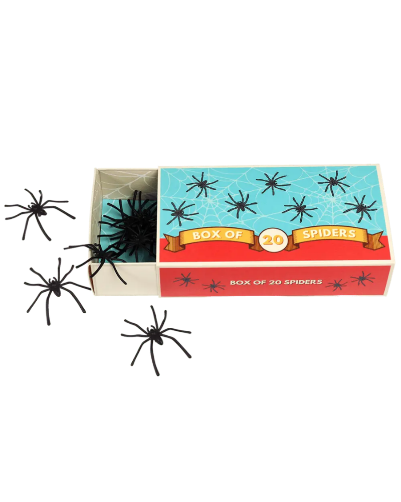 Novelty Box Of Spiders