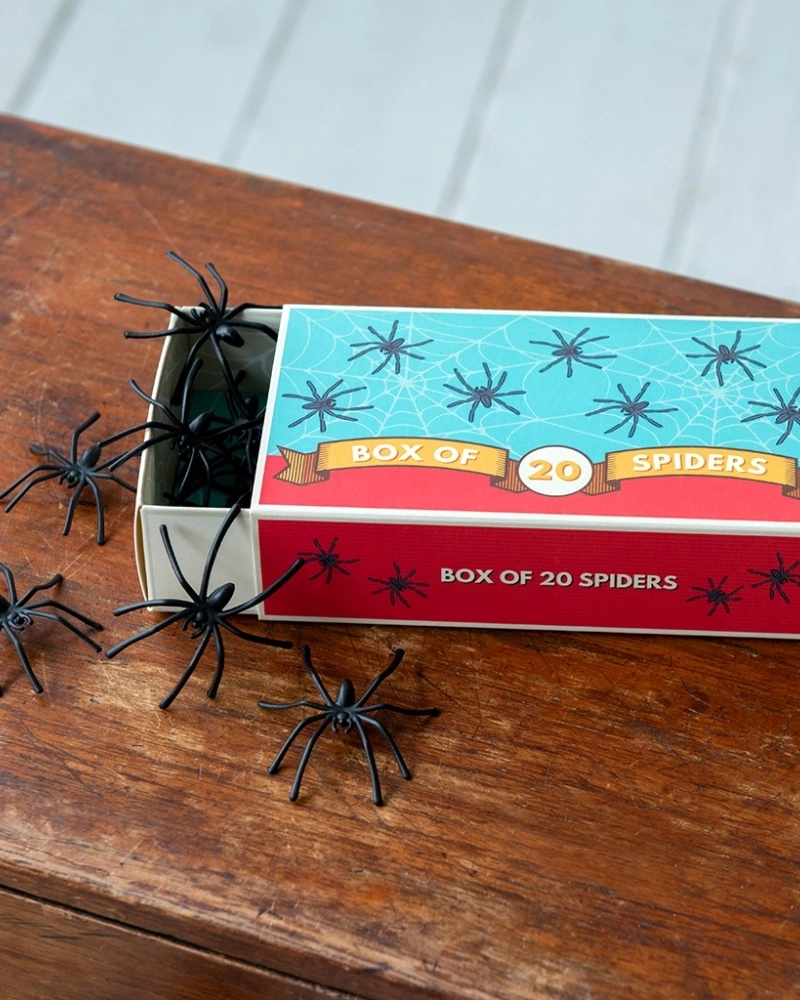 Novelty Box Of Spiders