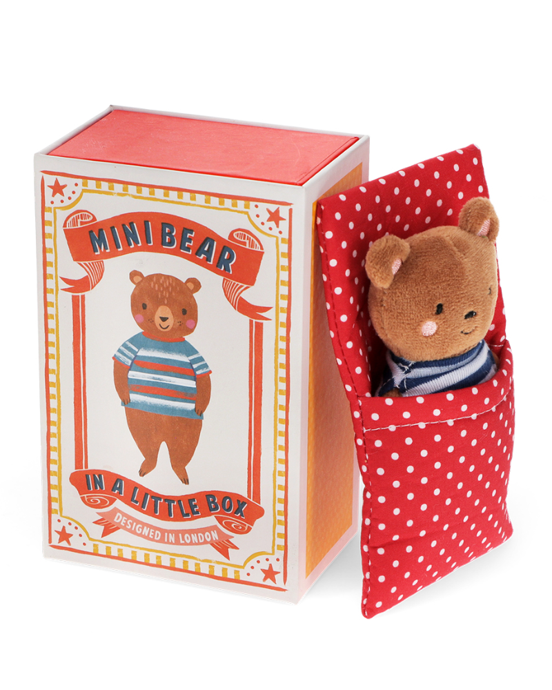 Teddy in box outlet
