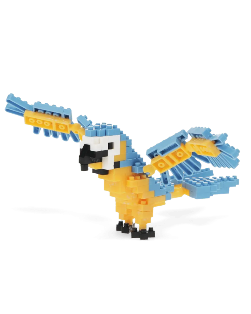 Build Your Own Macaw Bird Brick Kit