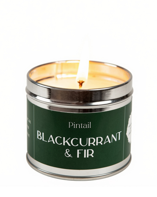 Blackcurrant & Fir Classic Tin Candle
