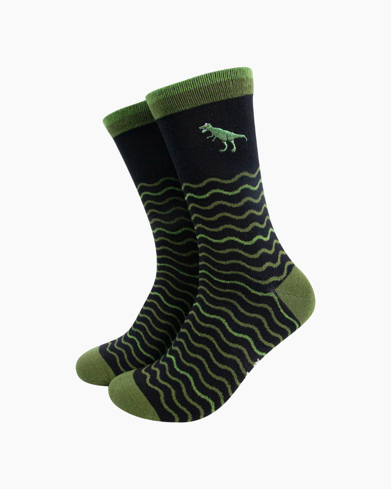 Embroidered T-Rex Wave Stripe Combed Cotton Socks