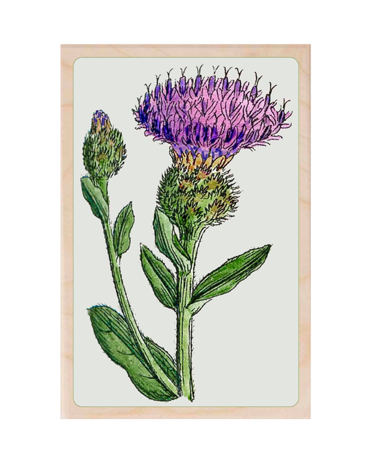 Scottish Thistle Magnet