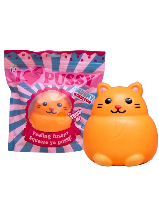 Squishy I Love Pussy Cat Stress Toy