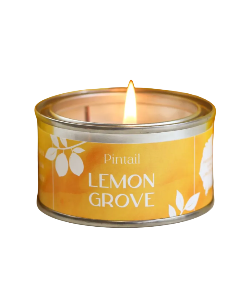 Lemon Grove Scented Paint Pot Candle