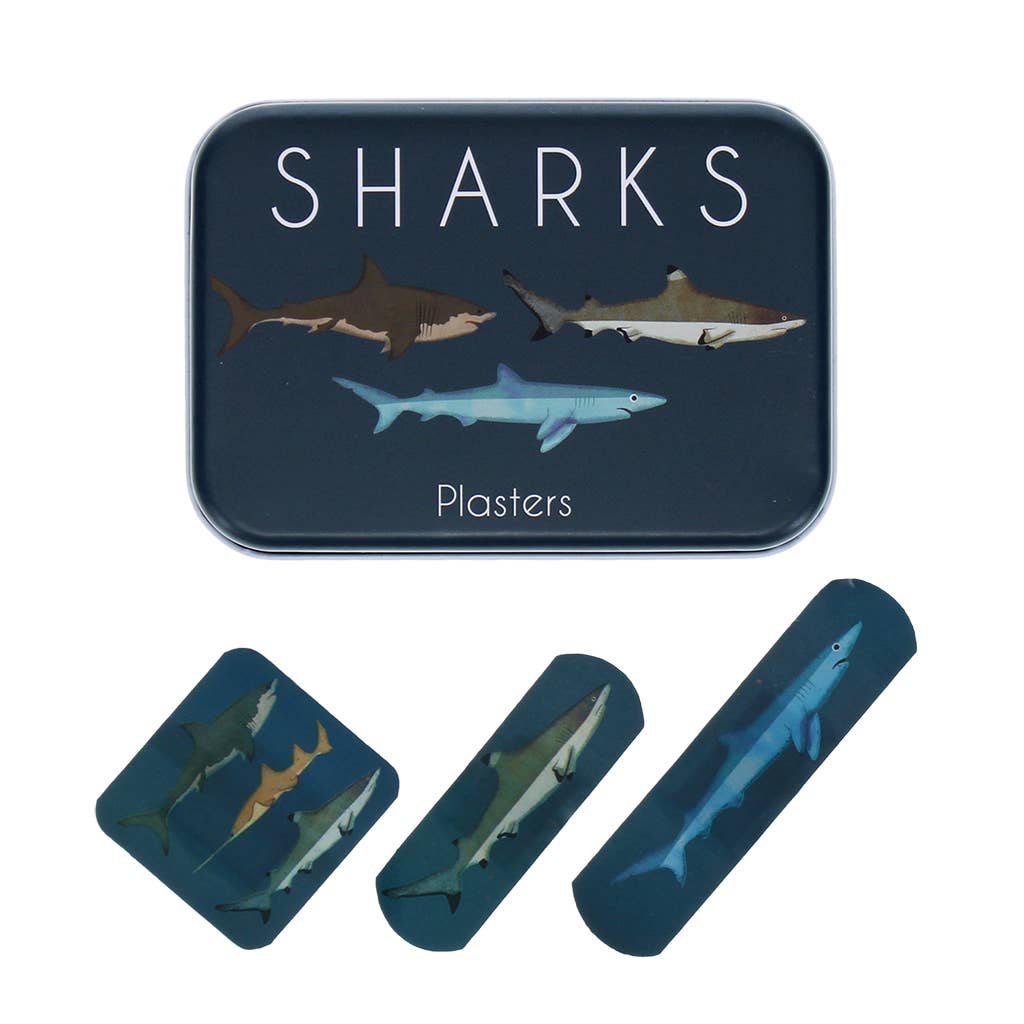 Shark Children's Plasters in a Tin Set of 30